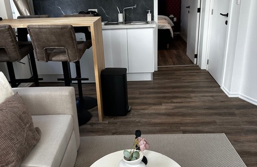 Patershol Apartment | Stylish 1BR plus LR Apt Ghent Castle
