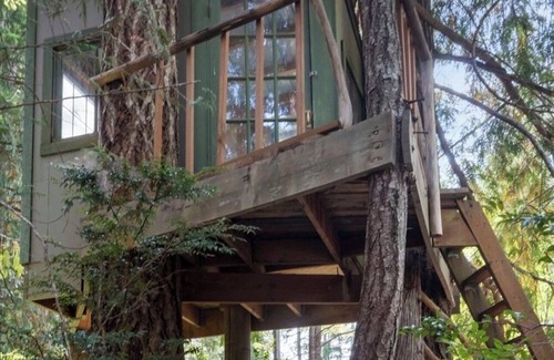 Shelton Cabin | Cozy 2-bedroom lakefront cabin with tranquil views