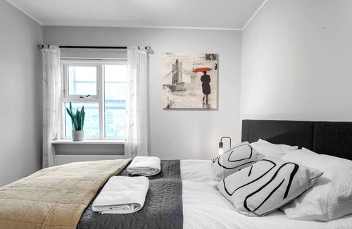 Downtown Apartment | Charming Apartment w/ Free Parking + Netflix.