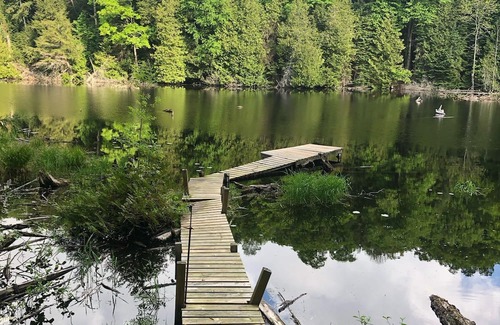 Irondale Cabin | Welcome to Glamor Rustic Retreats, your ideal getaway in Highlands East, Ontario