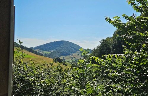Langenbruck Apartment | Wellness & Relax Suite Infrared cabin in the suite/Great hiking trails nearby