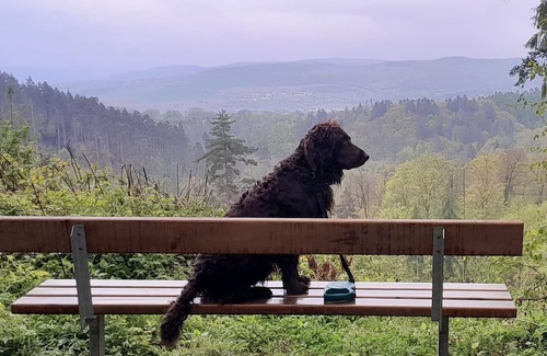 Rotenburg an der Fulda House | Holiday house Rotenburg for 1 - 10 persons with 4 bedrooms - Holiday house