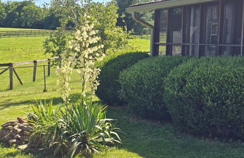 Georgetown Cabin | Horse Country Heaven