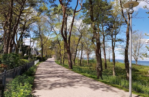Timmendorfer Strand Apartment | Ferienhaus Sonnenrose Loffhagen, Garten Apartment
