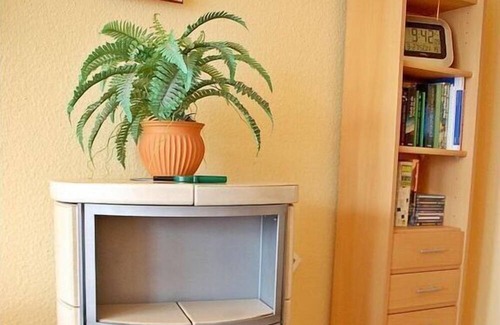 Oberstaufen Apartment | Apartment with enclosed garden