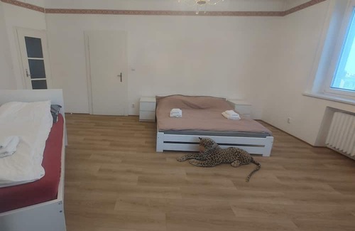 Podoli Apartment | Apartmán Executive - Pankrác (90m2)