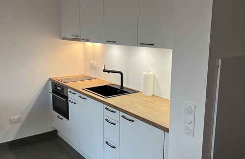 Saint-Louis Apartment | Wohnung Saint Louis Elsass, Nähe Basel , Flughafen, Dreiländereck, Wlan