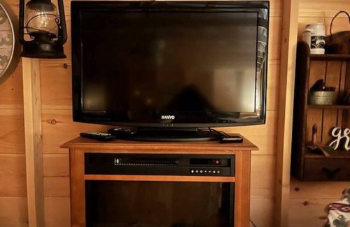 Blissfield Cabin | The Shanty: Lacy Rustic Vintage Sweet Cabin for 2