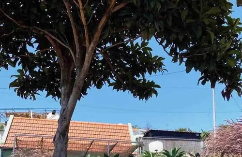 Tabua Cottage | THE L Lodge Elegant Country Cottage With Garden