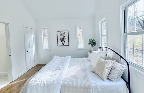 Hamilton House | Historic gem in the heart of downtown Hamilton! Trees and a private stream