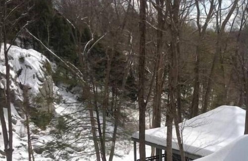 Bedford Cottage | Adirondacks in Westchester 2