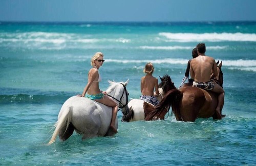 Montego Bay Resort | Luxury Retreat w/ Free WiFi, On Site Restaurant, Pool Access & Cocktail Lounge
