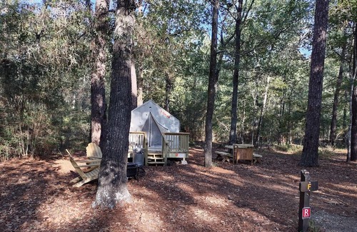 West Livingston RV Rental | Tentrr State Park Site - TX Lake Livingston State Park - Site B - Single Camp