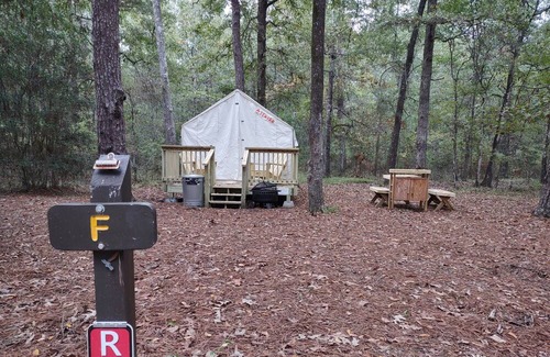 West Livingston RV Rental | Tentrr State Park Site - TX Lake Livingston State Park - Site B - Single Camp