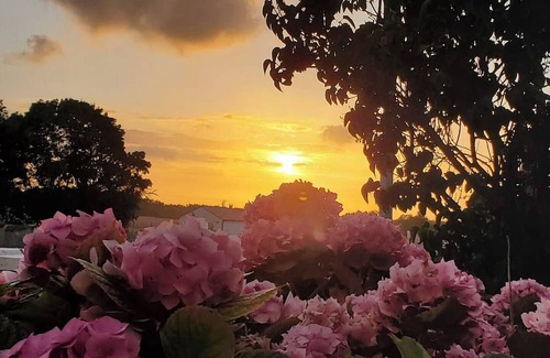 Plassay House | Family home, for a nature break and discovery of our beautiful region.