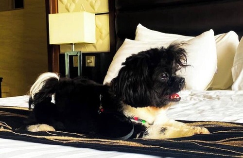 Balibago Hotel | Prime Asia Hotel Deluxe with Glass CR and Bathtub