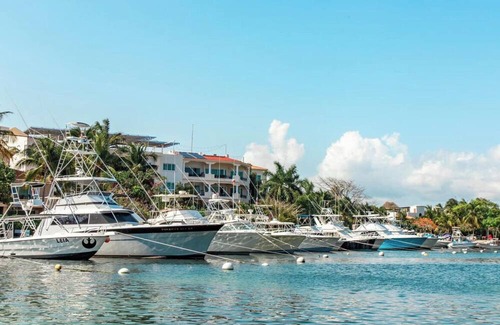 Puerto Aventuras Condo | Dolphin View 1 BR Boho Condo Just steps from the Beach