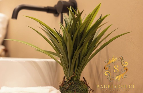 Cagnona Apartment | Sabbiadolce day and vacation, your vacation in Bellaria Igea Marina