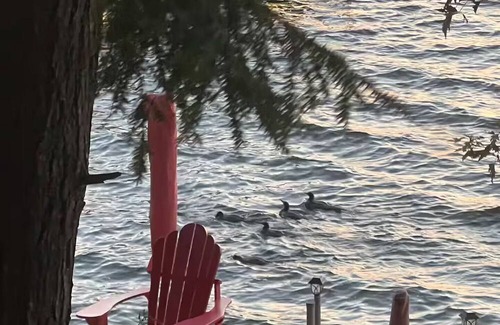 Burnt River Cabin | Nibi Haven/Kawarthas Lakeside Retreat