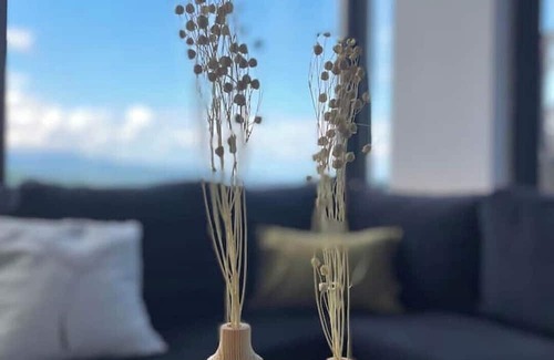 Ardesen House | MY GARDEN SUİT