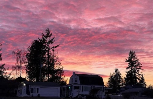 Port Angeles Cottage | Charming 2 bedroom cottage