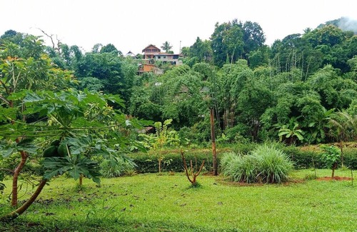 Pangmapha Cottage | GJ TOUR Cozy homestay in beautiful Pangmapha, Tham Lot with AC.