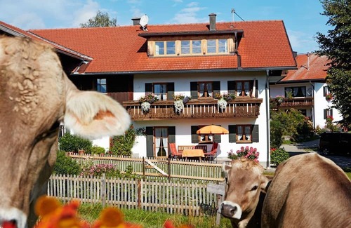 Nesselwang Apartment | Vacation apartment Zugspitz, 1 bedroom, bath/shower/WC - Kögel, Ferienhaus