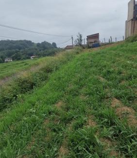 Biriatou Other | les 3 couronnes de biriatou