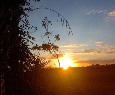 Tandil Ski Chalet | Cabaña Alpina