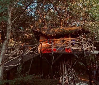Cluj-Napoca Other | Forest TreeHouse