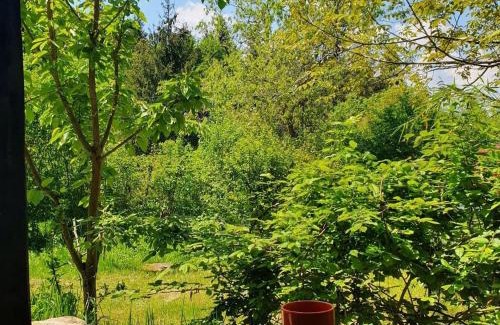 Cluj-Napoca Other | Forest TreeHouse