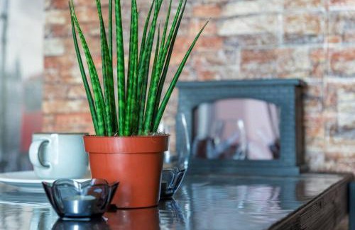 Ermita House | Manila Chic London Street, coffee bar Oceanview