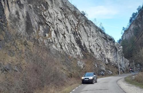 Intregalde House | Cabana de pe Vale