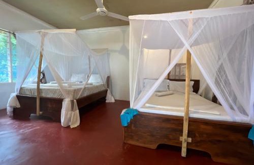 Mafia Island Bed & Breakfast | Mafia Whale Shark Safari Afro Beach