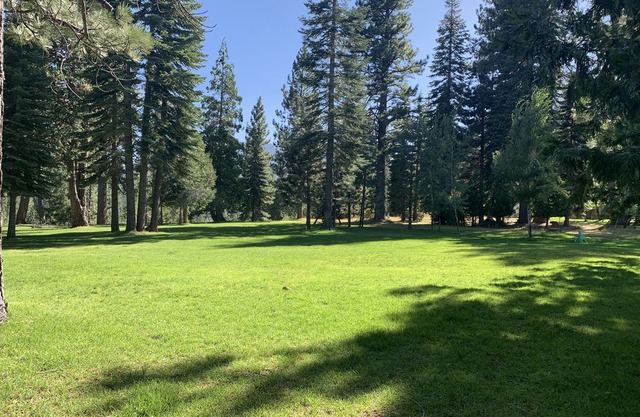 Beautiful Johnsville Cabin- Minutes from Graeagle