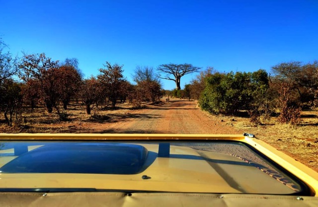 Zambezi Boutique Lodge, 2 Suites ask for our free Savannah Adventures 4x4 Safari