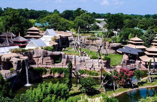 Elegant and comfy 3-bedroom apartment downtown Norfolk