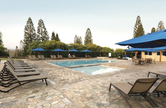 Luxury 2 Bedroom & 2 Bathroom Unit with Full Amenities