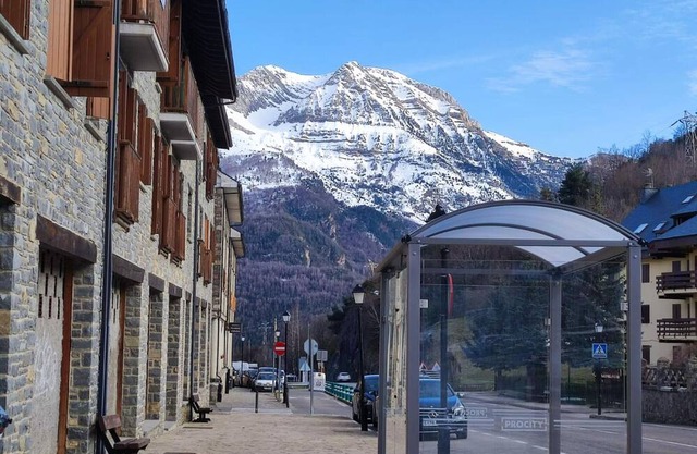 Apartment Sallent de Gállego-El Formigal, 1 bedroom, 4 persons