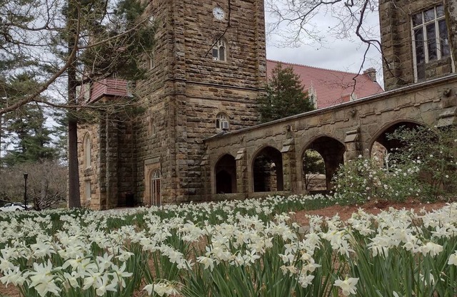 Quiet, cozy, remodeled private Sewanee home on University of The South Domain
