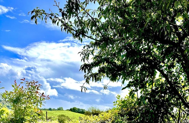 Renovated Cottage in Sherborne with Stunning Views