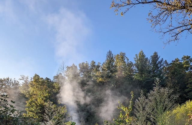 Morton Barn, 25 acres of woods, trails setting, 1.5 acres fishing pond