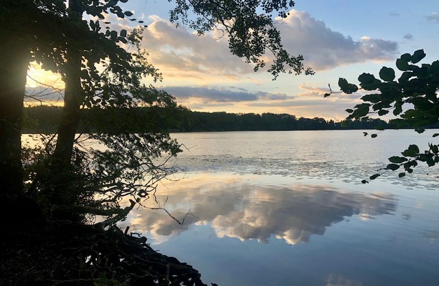 Versteck am Caputher See