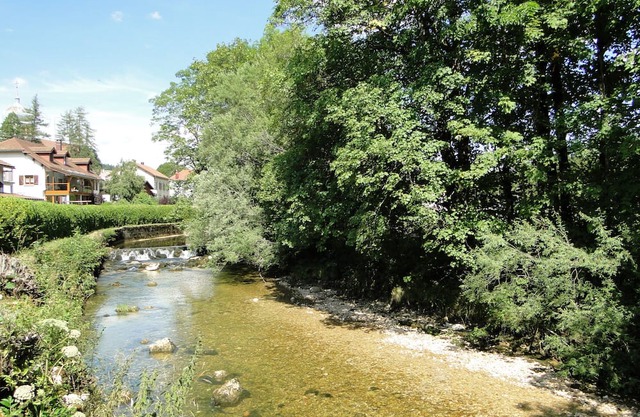 Gîte 295 montagnes du jura avec spa et sauna 3*