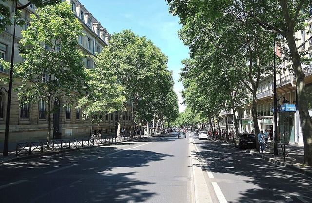 Top-of-the-Range Designer Stay–Daily Housekeeping –St Germain/Luxembourg Gardens