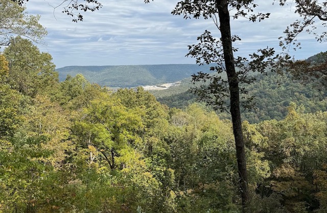 Secluded House on Cumberland Plateau with breathtaking views nestled on 60 Acres
