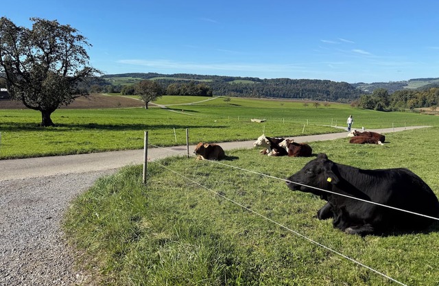 Lux Duplex apartment with Sauna & Cold plunge 10 mins from Zürich city