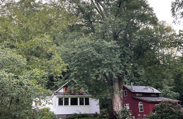 REMOTE, ROMANTIC, RELAXING, RURAL VERMONT DIRECT WATERFRONT