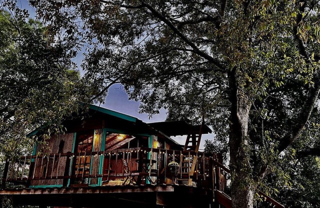 Unique Bamboo Tree House for an Unforgettable Couples Getaway by Lake Conroe, Texas