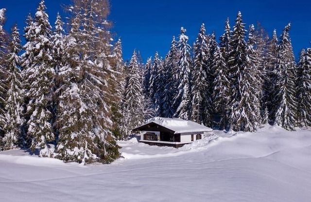 Vacation home for 4 guests with 60m² in Reith im Alpbachtal (294901)